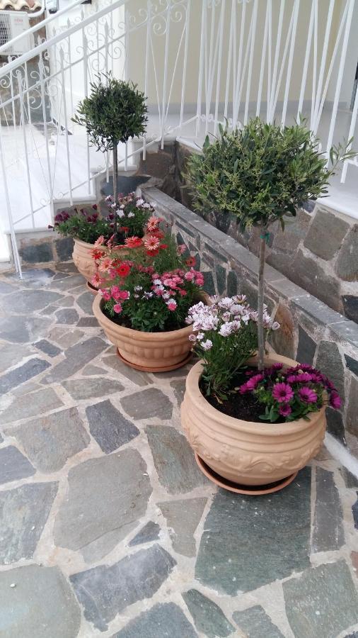 Nn Spata Rooms & Suites Near Athens Airport Kültér fotó